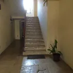 Apartman Noemi Póla